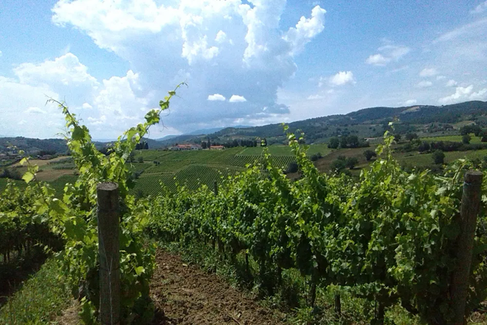via del sagrantino umbria